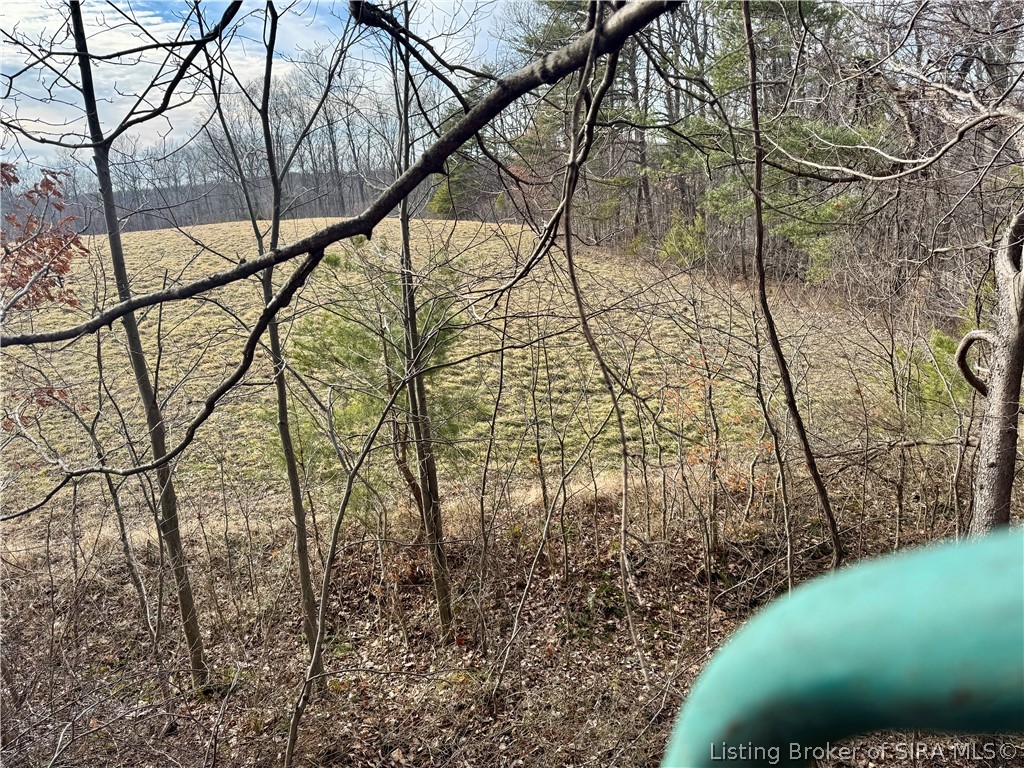 1789 North Peacock Hollow Road Salem, IN 47167 - Photo 57 of 59