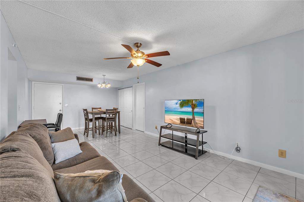 801 Russell Lane, Unit 255 Brandon, FL 33510 - Photo 14 of 22 a living room with furniture and a ceiling fan