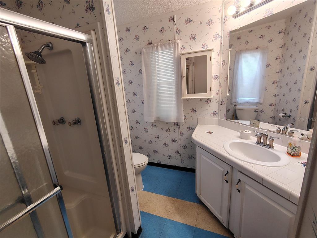 116 Lyonia Lane Wildwood, FL 34785 - Photo 17 of 37 a bathroom with a sink a toilet a mirror and shower