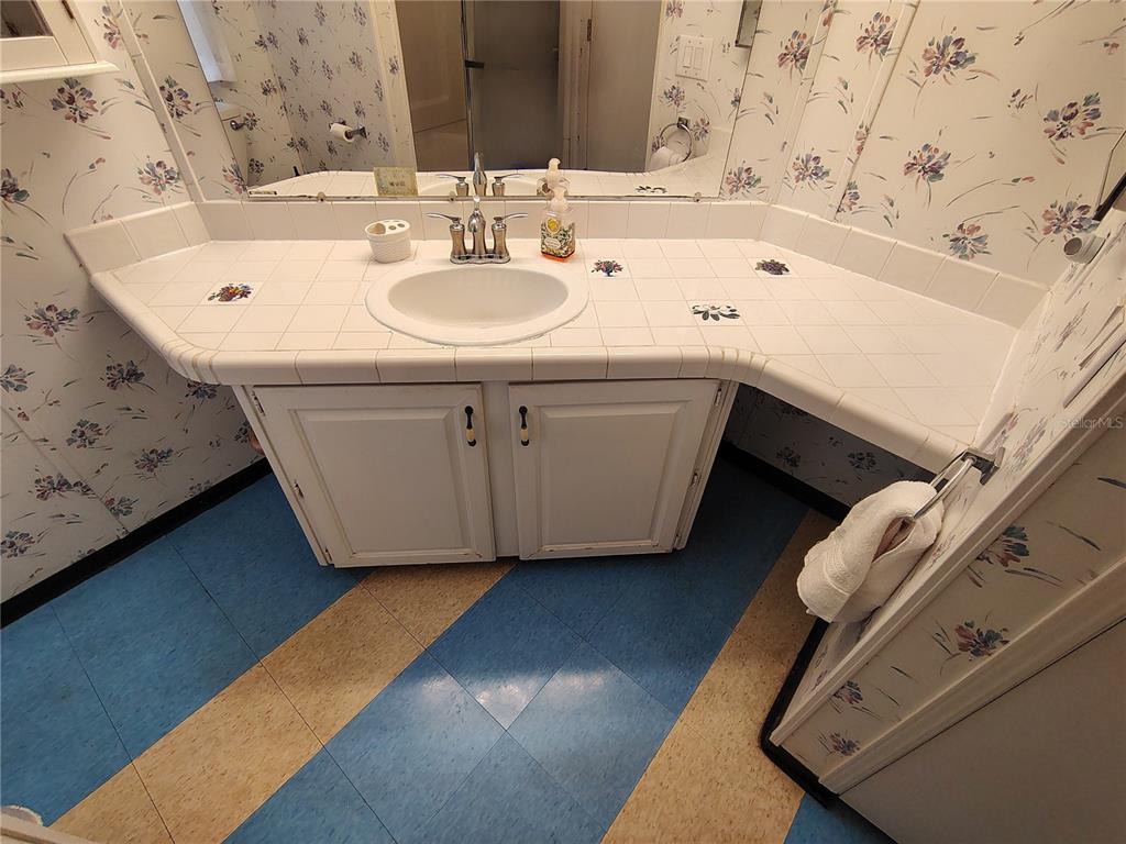 116 Lyonia Lane Wildwood, FL 34785 - Photo 19 of 37 a bathroom with a sink and a mirror