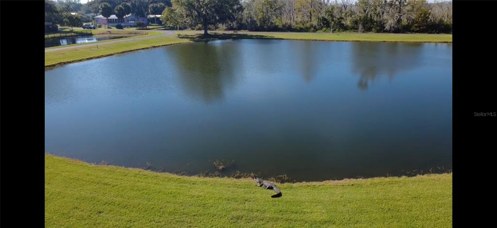116 Lyonia Lane Wildwood, FL 34785 - Photo 32 of 37 a view of a lake view