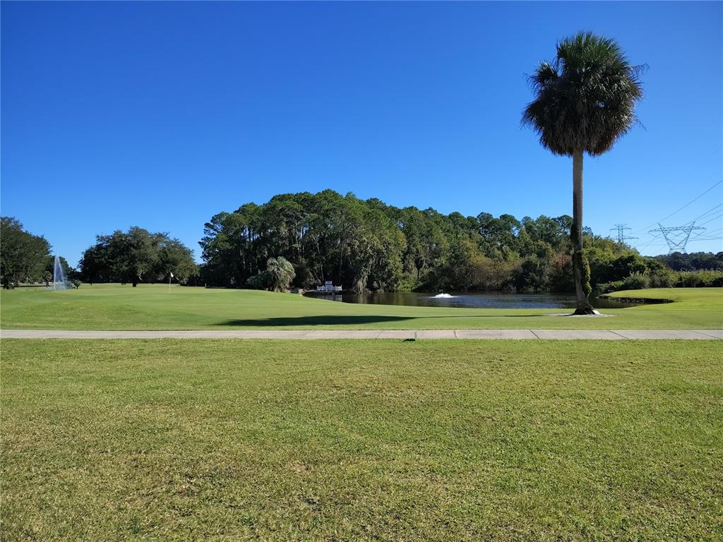116 Lyonia Lane Wildwood, FL 34785 - Photo 34 of 37 a view of a field with a tree in the background