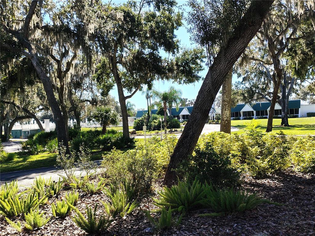 116 Lyonia Lane Wildwood, FL 34785 - Photo 37 of 37 a view of an outdoor space with a garden