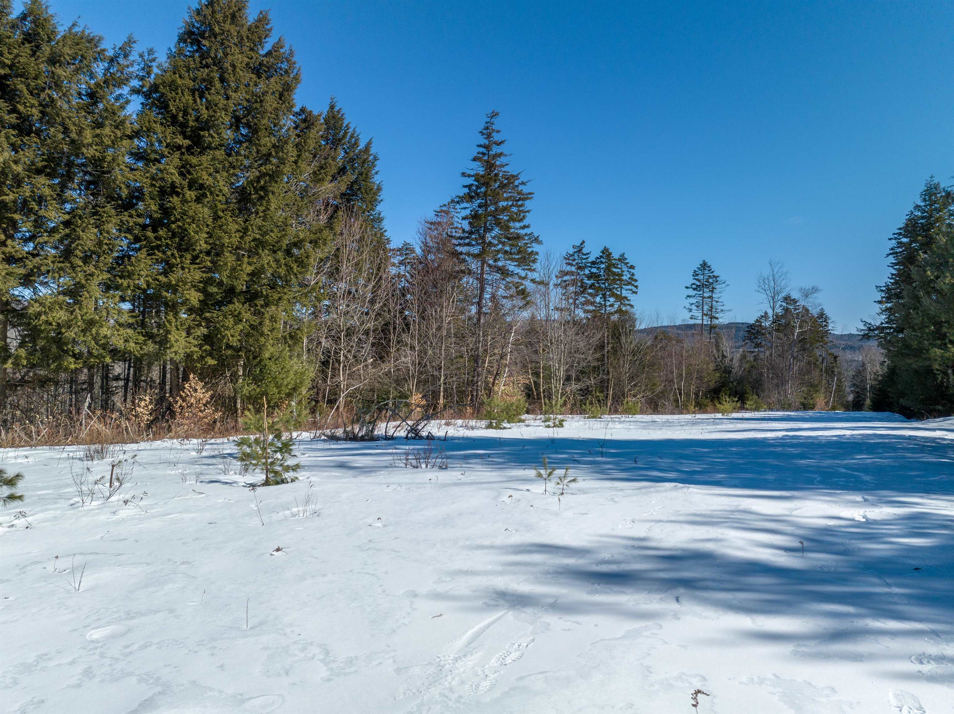 0 Welton Falls Road Alexandria, NH 03222 - Photo 2 of 25