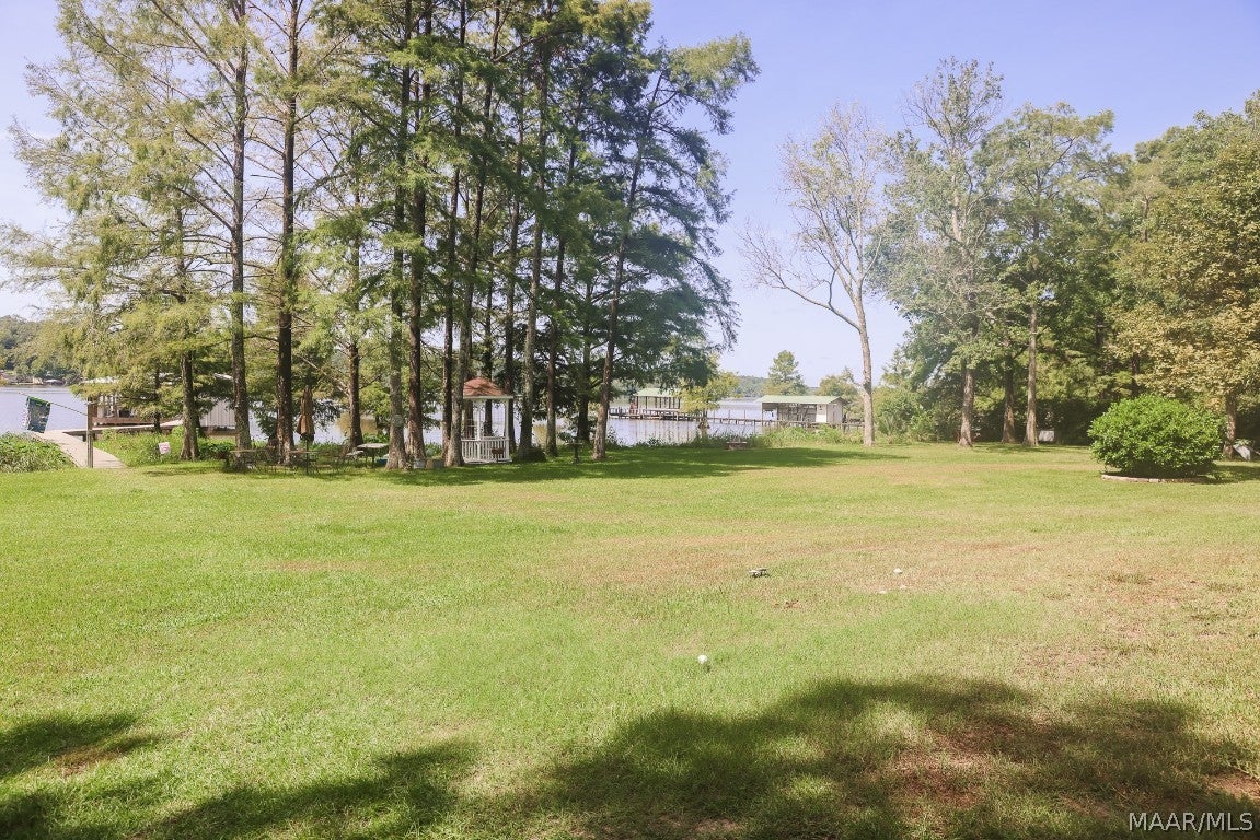 16658 Gantt Lake Road Dozier, AL 36028 - Photo 16 of 67 Gallery Image 16