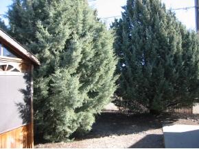 4471 North Ranger Road Prescott Valley, AZ 86314 - Photo 5 of 7 Additional Photo