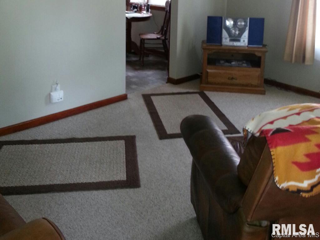 3017 Louise Lane Springfield, IL 62702 - Photo 3 of 16