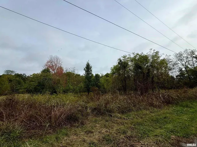 $35,000 | Tbd Brock Lane, Murphysboro, IL 62966