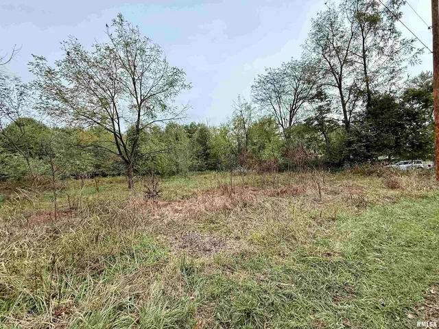 $35,000 | Tbd Brock Lane, Murphysboro, IL 62966