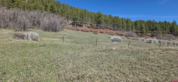 $575,000 | 10643 Cr 501 Bayfield Co 81122, Bayfield, CO 81122