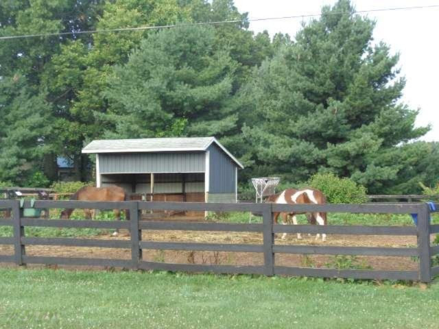 14612 Range Line Road Buchanan, MI 49107 - Photo 23 of 29 Leanto & fenced area with horses