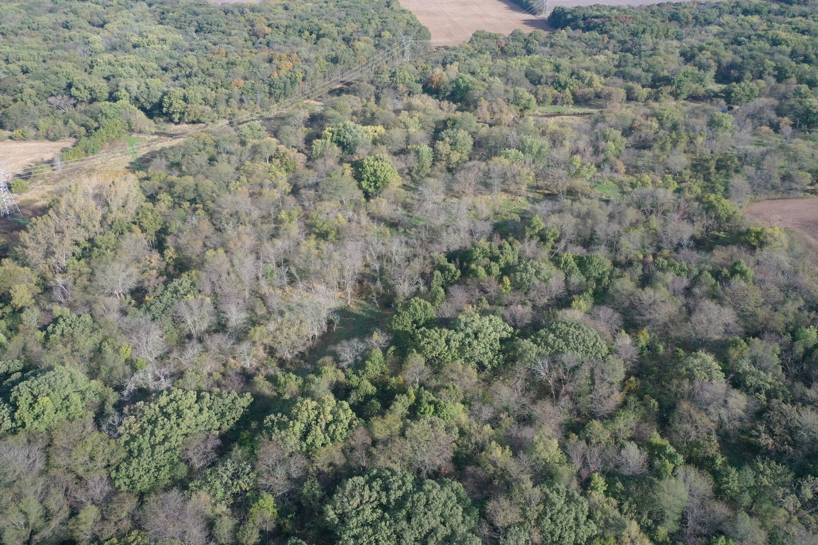 0 South Prairie Road Chana, IL 61015 - Photo 11 of 40 a view of a field