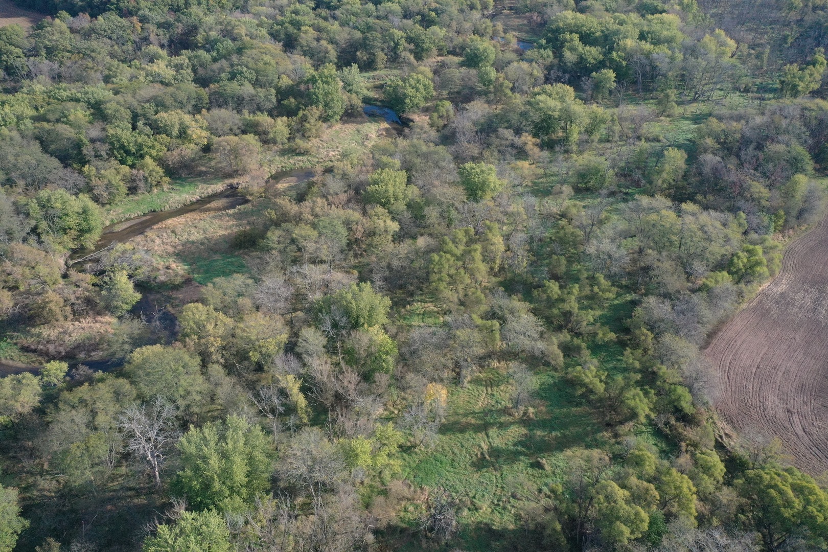 0 South Prairie Road Chana, IL 61015 - Photo 13 of 40 a view of a field with trees in background