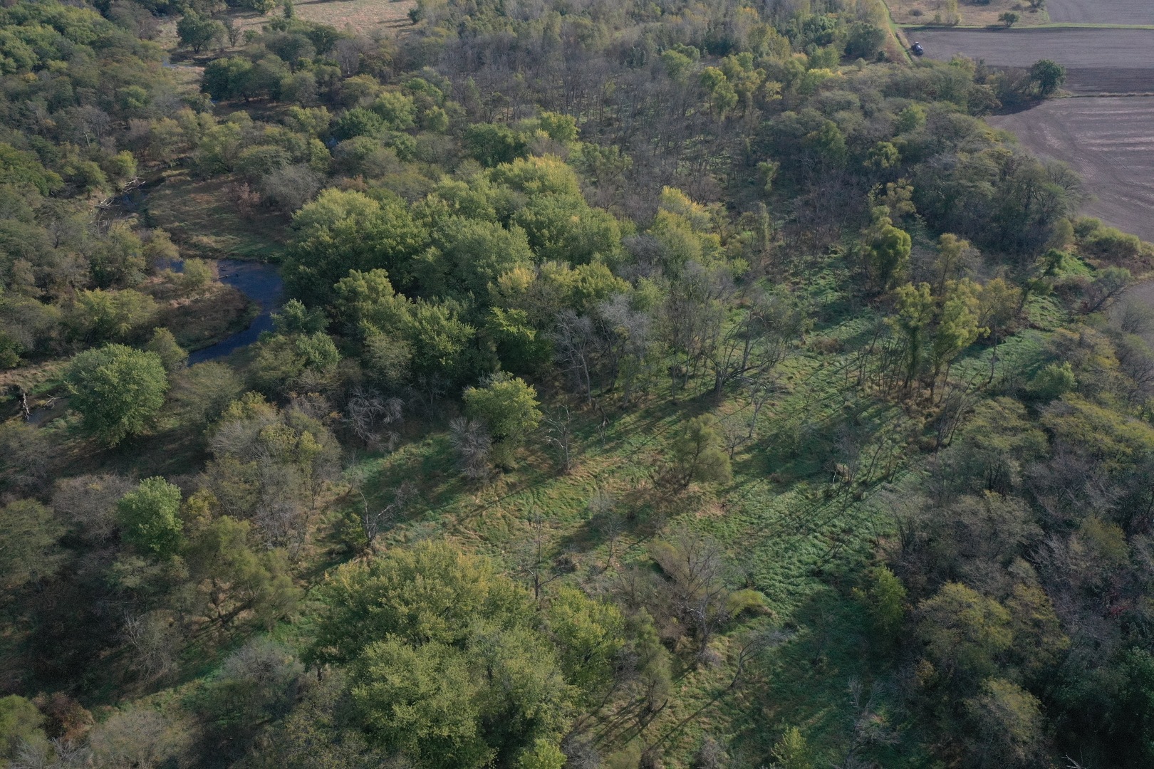 0 South Prairie Road Chana, IL 61015 - Photo 18 of 40 a view of a forest with lots of trees