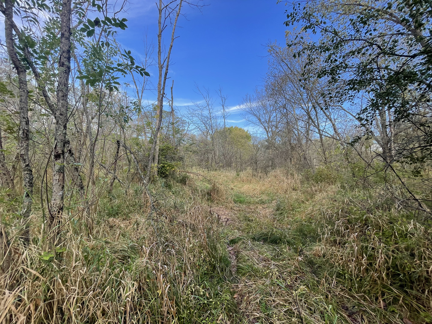 0 South Prairie Road Chana, IL 61015 - Photo 29 of 40 a view of a yard