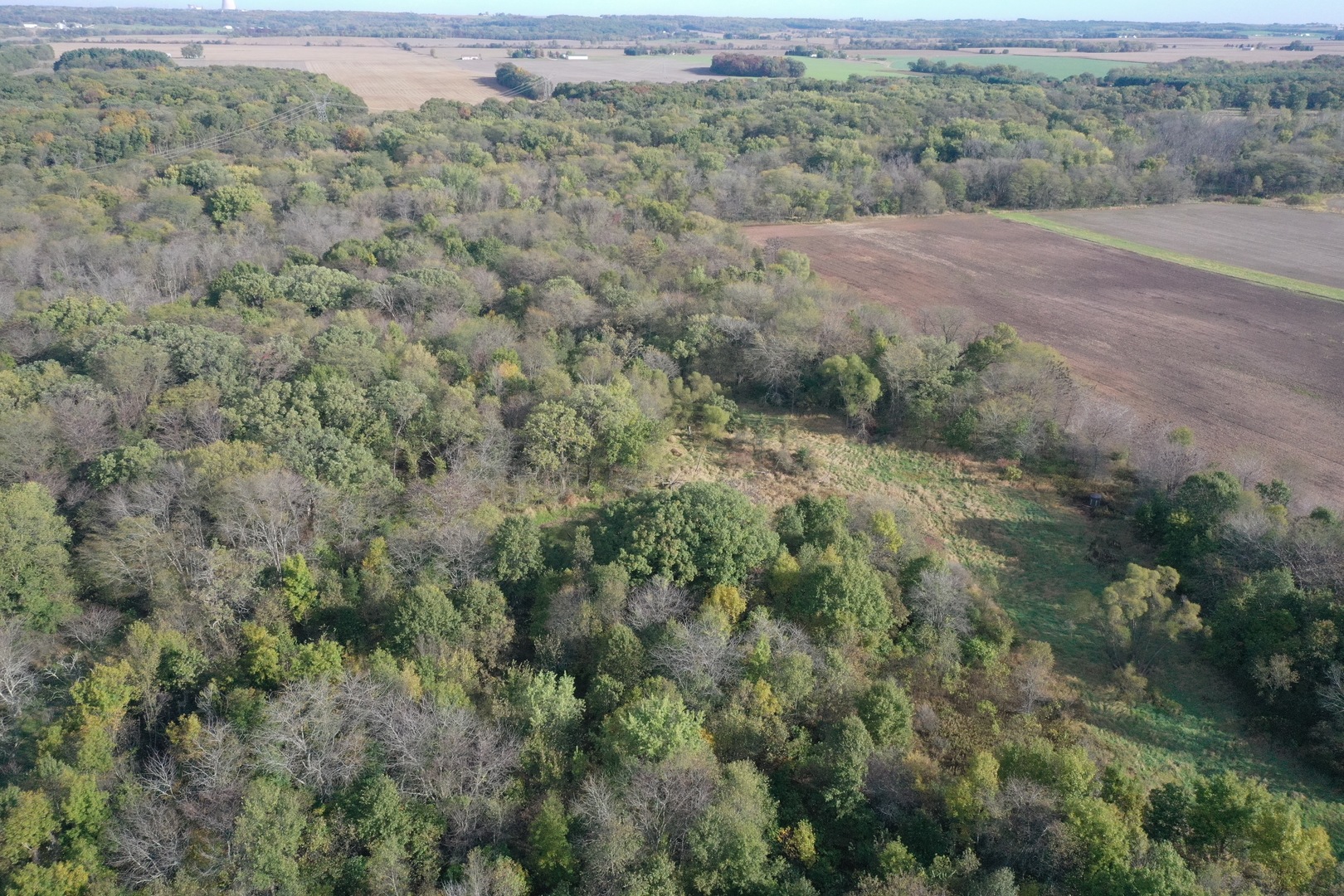 0 South Prairie Road Chana, IL 61015 - Photo 4 of 40 an aerial view of forest