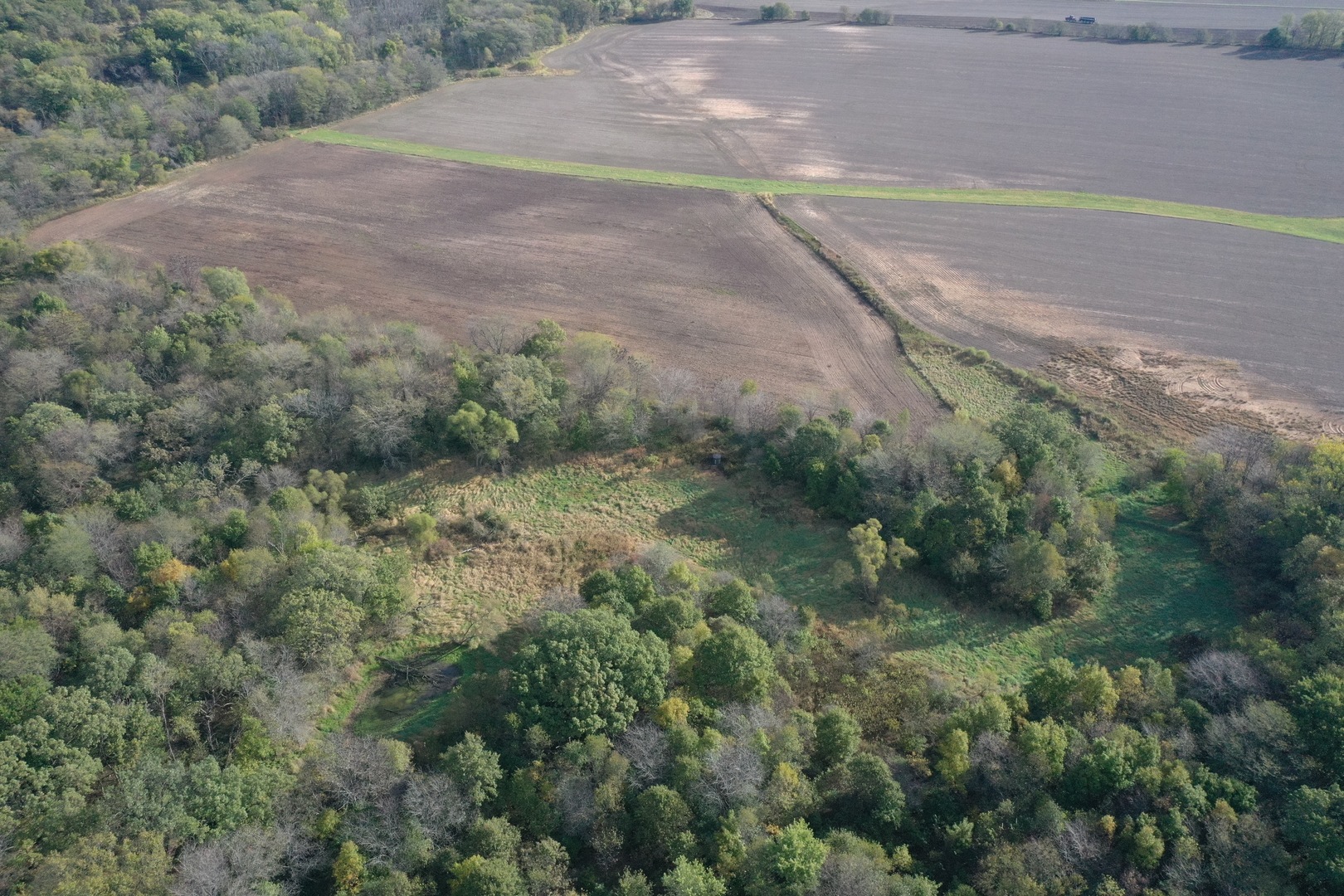 0 South Prairie Road Chana, IL 61015 - Photo 9 of 40 a view of a yard with a plant