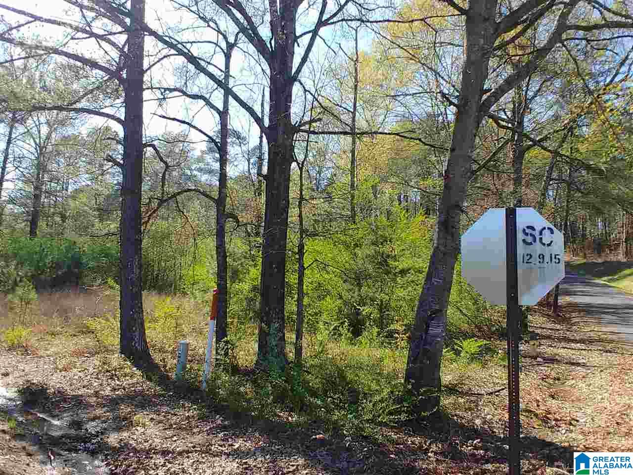0 Roberts Mill Pond Road, Unit 1 39 Pell City, AL 35128 - Photo 19 of 29
