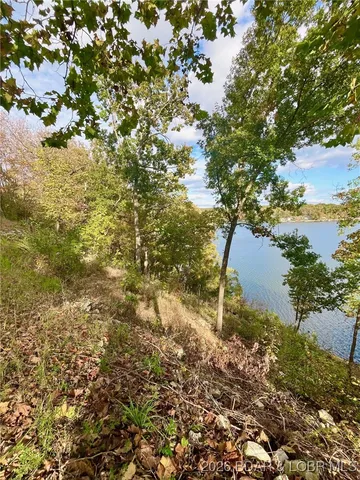 $110,000 | Lot #6 Hidden Treasures Road, Unit LOT# 6 (INDIAN CREEK COVE), Barnett, MO 65011