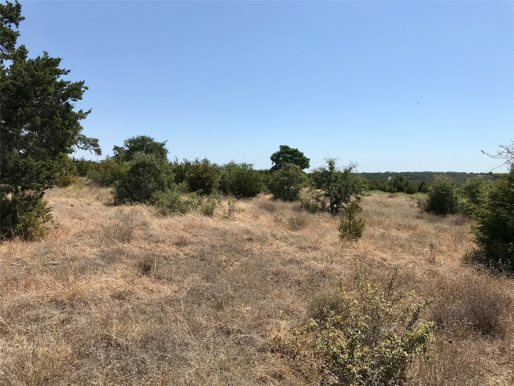 970 B Rr 32 San Marcos, TX 78666 - Photo 21 of 30 More of native vegetation.
