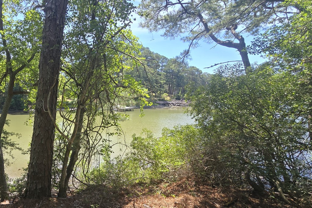 Lot B4 Saltworks Road, Unit B Exmore, VA 23350 - Photo 4 of 11