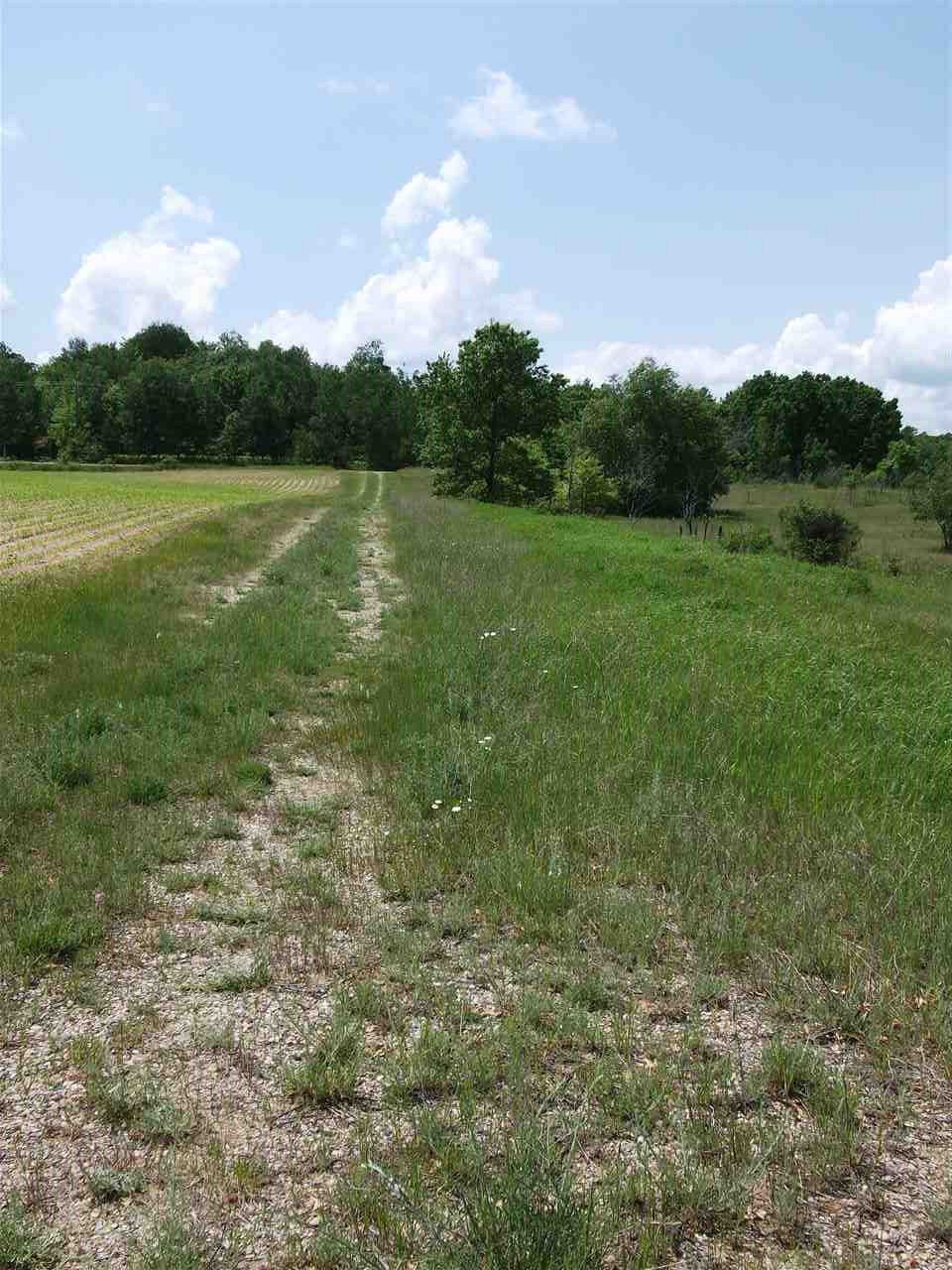 0 South Lachance Road McBain, MI 49657 - Photo 2 of 16 1801234-1.JPG