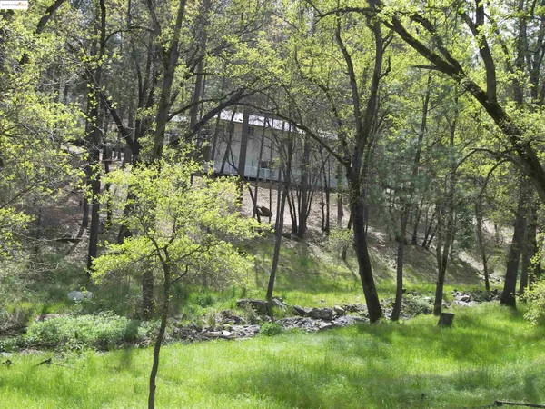 a backyard of a house with lots of green space