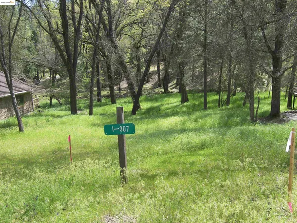 a view of a park with a tree