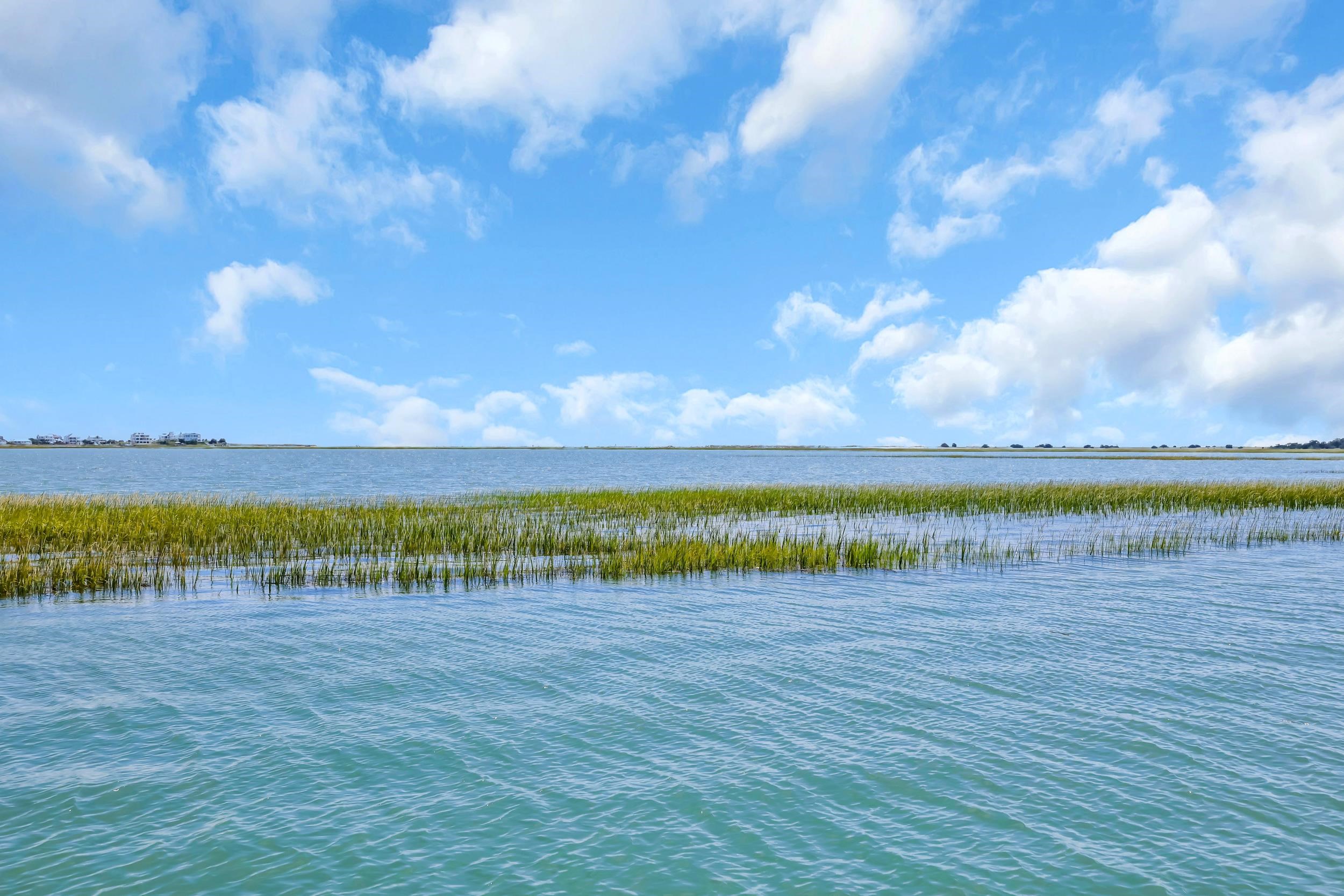 4853 Highway 17 Business Murrells Inlet, SC 29576 - Photo 50 of 51