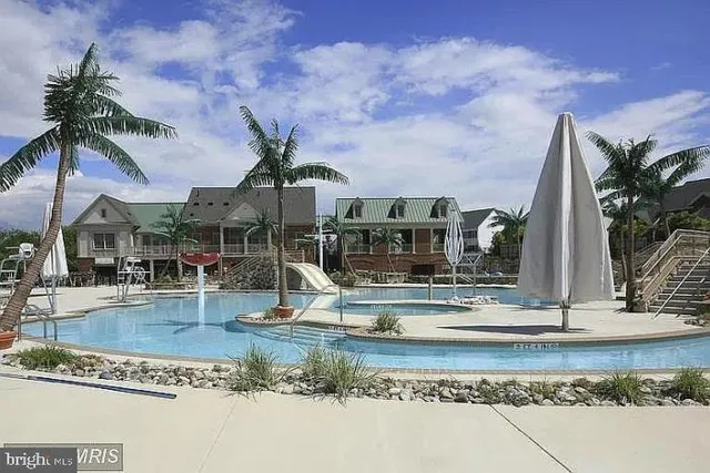 a view of a water with palm trees
