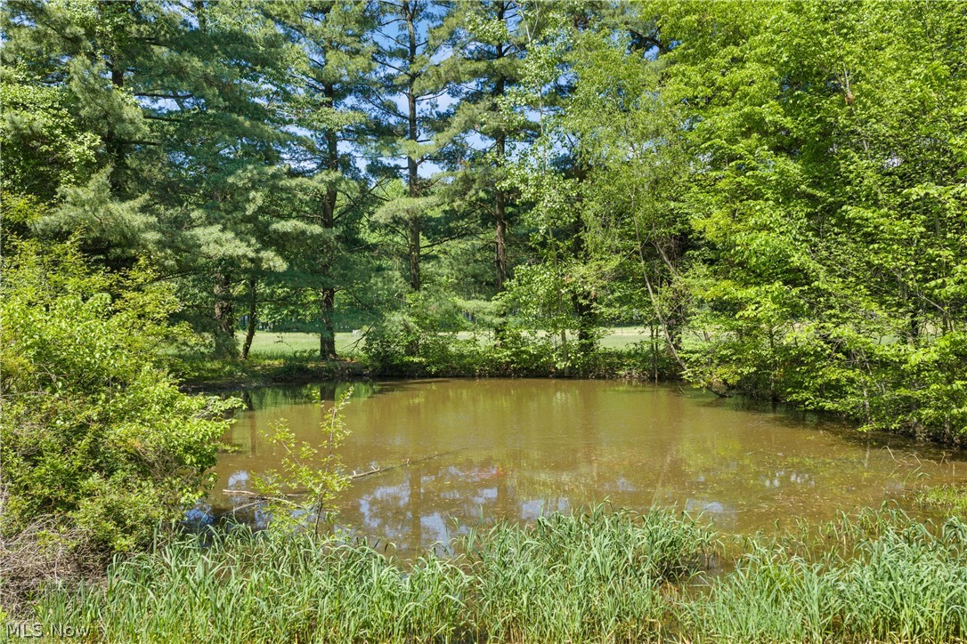 568 West Nimisila Road Akron, OH 44319 - Photo 26 of 37
