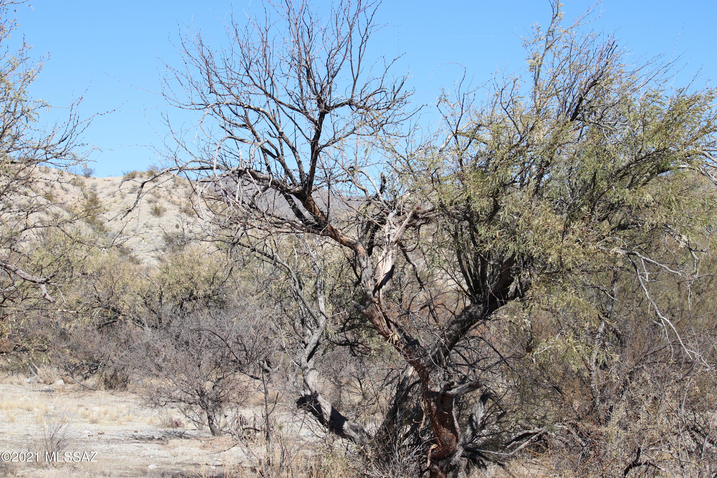 West Simons Way Benson, AZ 85602 - Photo 10 of 12