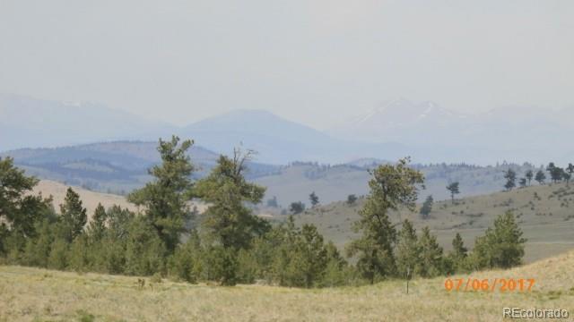 9509 Caddo Road Hartsel, CO 80449 - Photo 11 of 35 Gallery Image 11