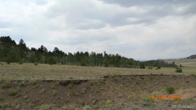 9509 Caddo Road Hartsel, CO 80449 - Photo 14 of 35 Gallery Image 14