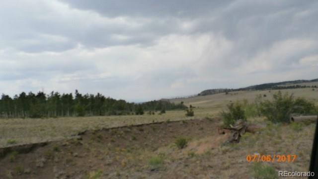 9509 Caddo Road Hartsel, CO 80449 - Photo 15 of 35 Gallery Image 15