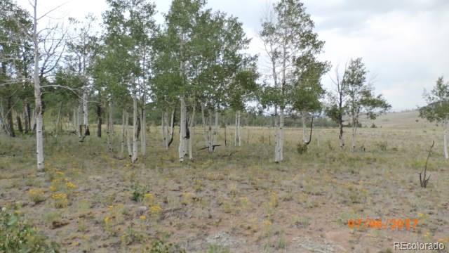 9509 Caddo Road Hartsel, CO 80449 - Photo 16 of 35 Gallery Image 16