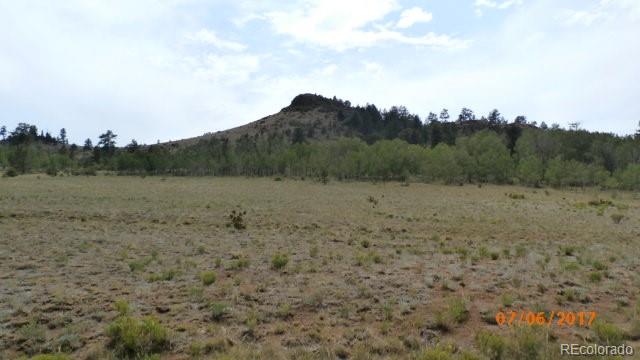 9509 Caddo Road Hartsel, CO 80449 - Photo 18 of 35 Gallery Image 18