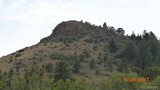 9509 Caddo Road Hartsel, CO 80449 - Photo 19 of 35 Gallery Image 19