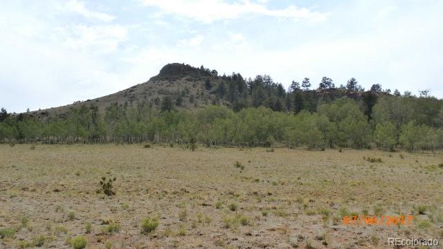 9509 Caddo Road Hartsel, CO 80449 - Photo 20 of 35 Gallery Image 20