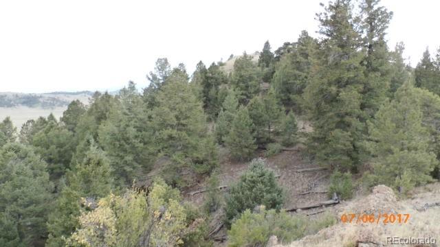 9509 Caddo Road Hartsel, CO 80449 - Photo 21 of 35 Gallery Image 21
