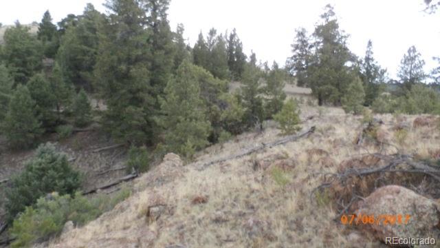 9509 Caddo Road Hartsel, CO 80449 - Photo 23 of 35 Gallery Image 23