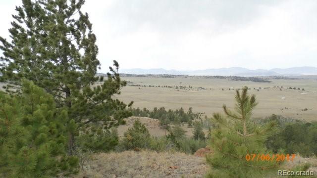9509 Caddo Road Hartsel, CO 80449 - Photo 25 of 35 Gallery Image 25
