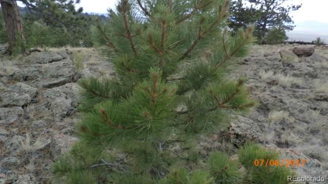 9509 Caddo Road Hartsel, CO 80449 - Photo 27 of 35 Gallery Image 27
