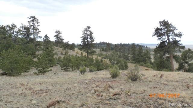 9509 Caddo Road Hartsel, CO 80449 - Photo 28 of 35 Gallery Image 28