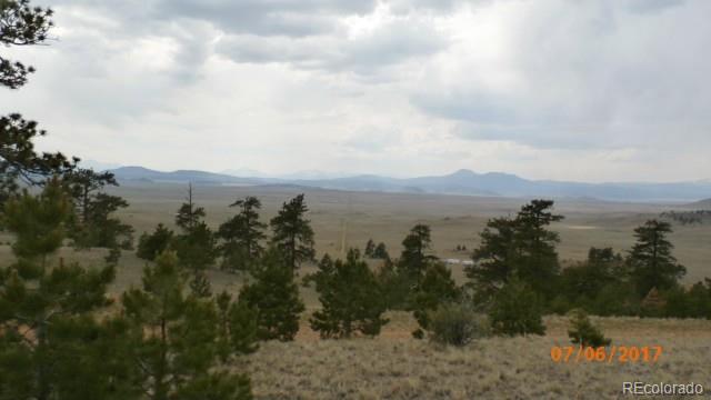 9509 Caddo Road Hartsel, CO 80449 - Photo 29 of 35 Gallery Image 29
