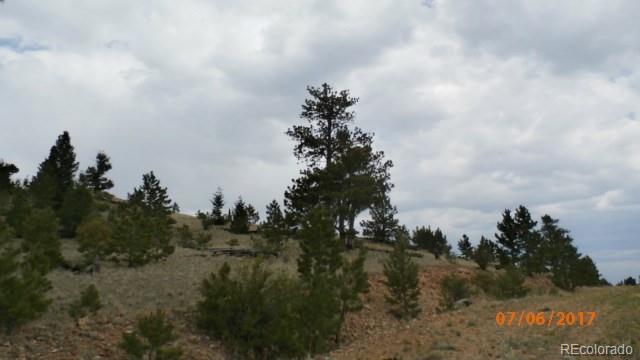 9509 Caddo Road Hartsel, CO 80449 - Photo 35 of 35 Gallery Image 35