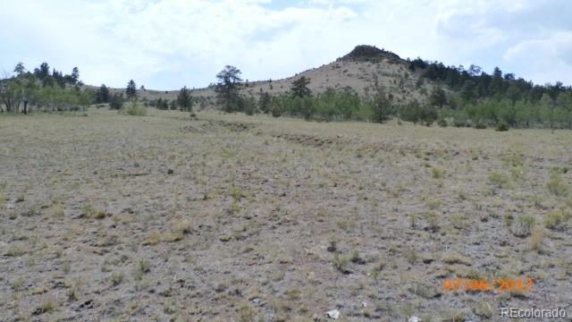 9509 Caddo Road Hartsel, CO 80449 - Photo 6 of 35 Gallery Image 6