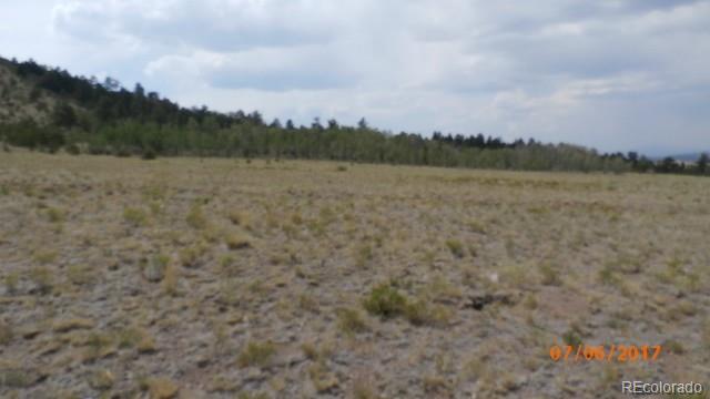 9509 Caddo Road Hartsel, CO 80449 - Photo 8 of 35 Gallery Image 8