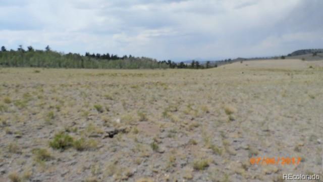 9509 Caddo Road Hartsel, CO 80449 - Photo 9 of 35 Gallery Image 9