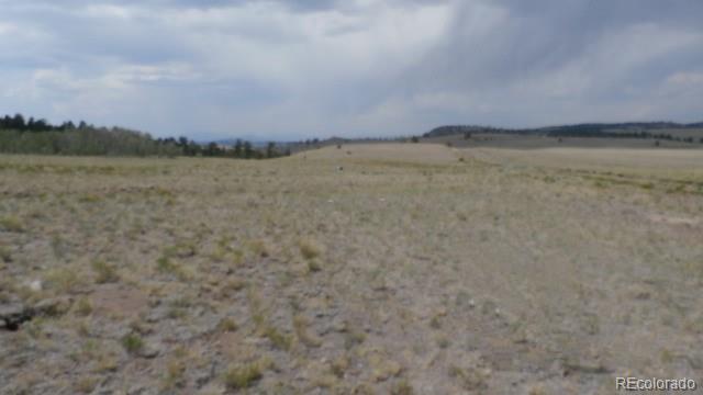 9509 Caddo Road Hartsel, CO 80449 - Photo 10 of 35 Gallery Image 10